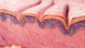 3d medical explainer, dental, scientific, surgery, anatomy 3d medical animation