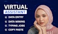 be your virtual assistant for data entry, data mining, copy paste, web research