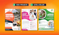 design a professional business flyer, marketing flyer, promotional event flyer
