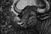 draw dark art animal illustration