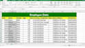 do excel data entry, data entry, PDF to excel data entry