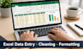do excel data entry data cleaning formatting and spreadsheet tasks