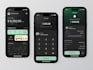 develop fintech, payment, wallet, loan apps with modern UI UX design