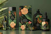 create premium label design and packaging design