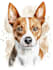 create a custom pet portrait, dog, cat