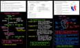 help you master mcat teaching biology chemistry physics