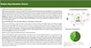 build financial models analyses and valuations