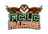 design luxury eagles logo
