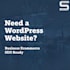 create a professional wordpress business website for your brand