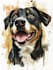 paint a portrait for your pet, any animal