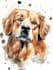 design custom pet portrait