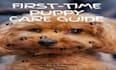 write veterinary animal care guides, manuals and sops
