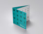 design a professional corporate brochure and print layout