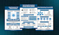 design clean and minimal data infographic