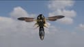 create photoreal 3d animal animation insect vfx and cgi creature compositing