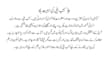 provide expert handwritten or ms word assignments