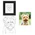 your pet turn into line art