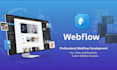 webflow website design development, webflow developer, webflow expert