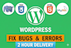 do web speed fix wordpress bug or fix wordpress help,problem,customization,error