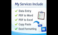 do accurate data entry, excel work and pdf conversion