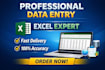 do accurate data entry, data cleaning, excel formatting