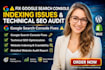 fix google search console indexing issues, perform technical SEO website audit