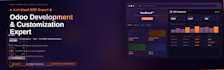 develop custom odoo module, erp integration, and odoo website