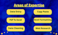 expert data digitization, excel and admin support