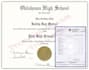 design university college diploma degree transcript