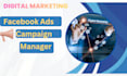 setup and manage facebook ads camping for sales