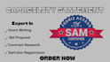 design a professional and stunning capability statement