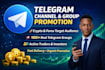 run approved telegram ads to reach active forex traders telegram promotion