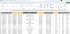 accurate data entry, microsoft excel data entry