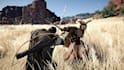 develop open world action game in unreal engine 5 with dynamic combat system