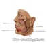 make medical science illustrations with artistic effects