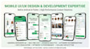 develop a android mobile app using flutter and native