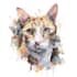 draw watercolor pet portrait