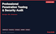 do a professional penetration test and security audit of your web application