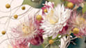 design best botanical illustration