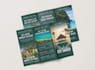design creative and unique brochure