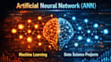assist in ml ann and data science projects