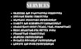 do professional essay proofreading and editing