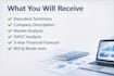 write a professional business plan for startup, loan, and investors