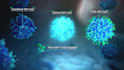 3d medical animation for anatomy, immunotherapy and healthcare explainer videos