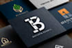 make modern minimalist luxury logo design