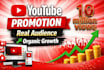 increase your youtube video channel views and engagement
