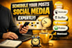 schedule post via content 360 hootsuit buffer planable publer pallyy metricool