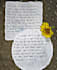 write anything in beautiful neat handwriting