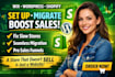 do hook online store setup, wix, wordpress, shopify migration sales mechanism