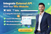 integrate external api with your wix website using wix velo code, velo  develop